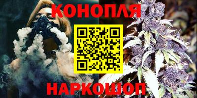 индика Заволжье