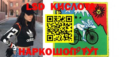 индика Заволжье