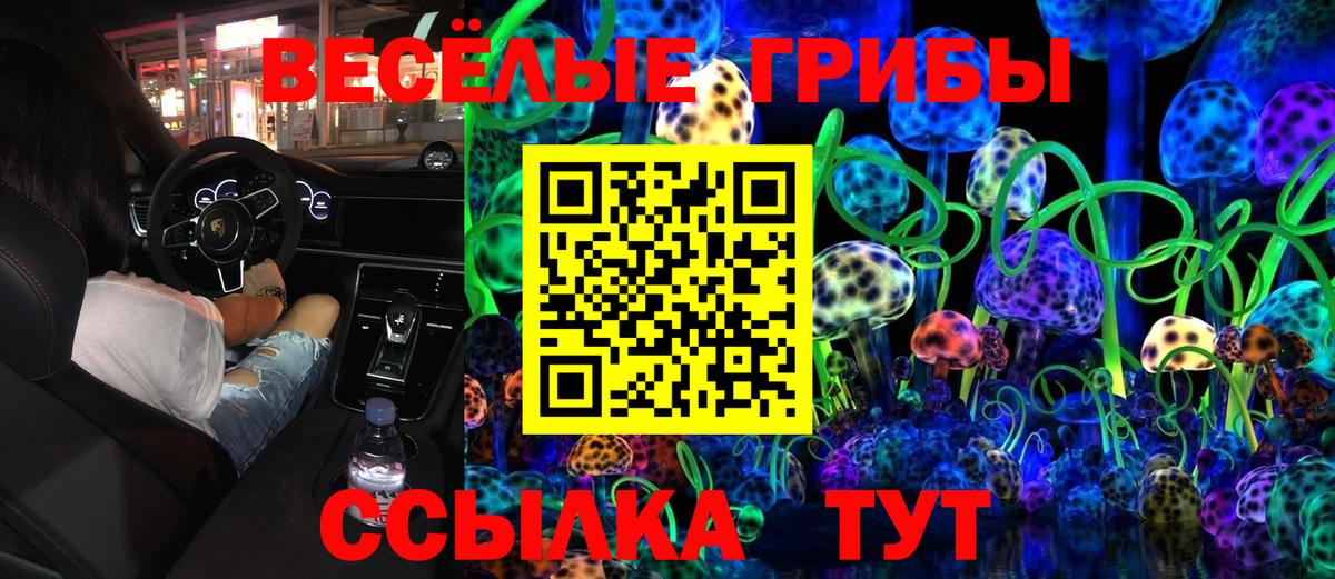 Кисловодск  Псилоцибиновые грибы Psilocybine cubensis  Вход с VPN 