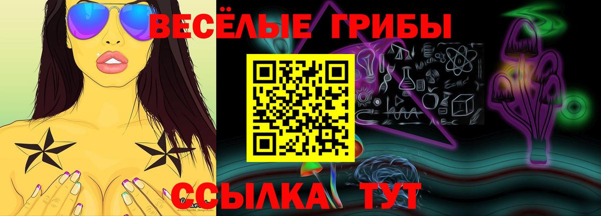 Галлюциногенные грибы Magic Shrooms Кисловодск