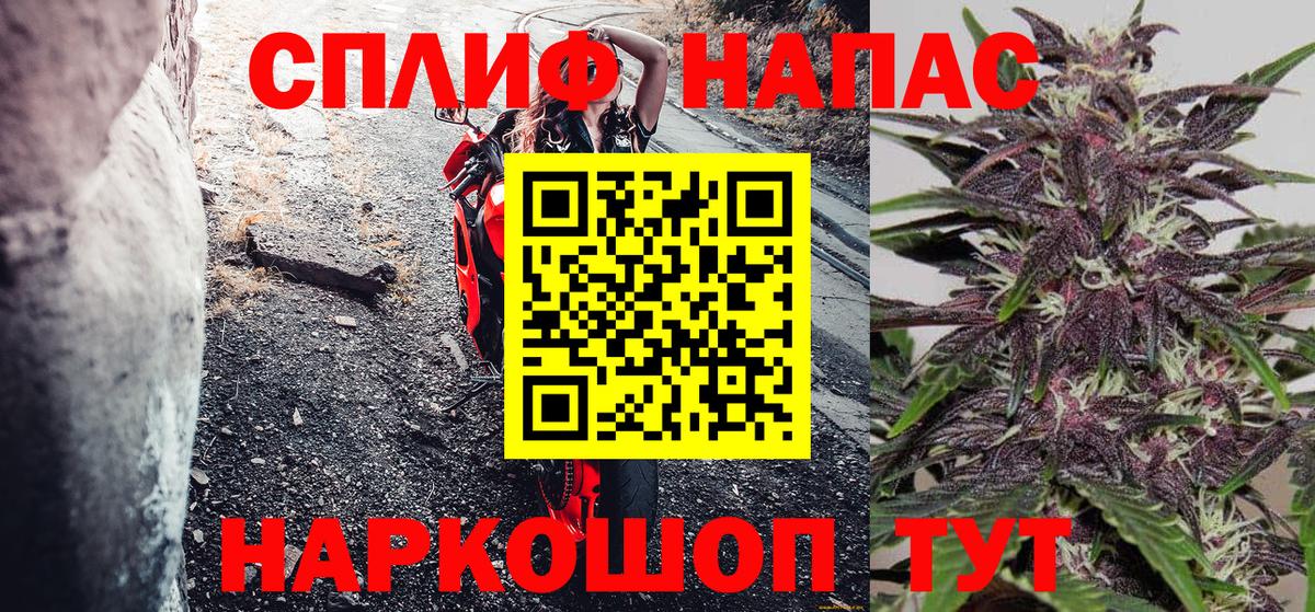 Бошки Шишки Bruce Banner  Вход с VPN  Бошки Шишки планчик  Бошки марихуана семена  Кисловодск 